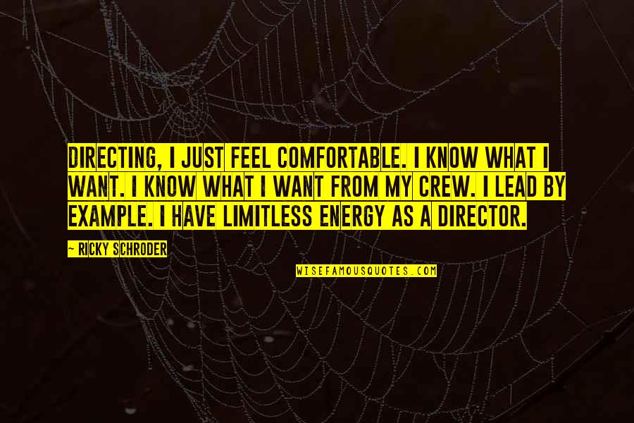 Limitless Quotes By Ricky Schroder: Directing, I just feel comfortable. I know what