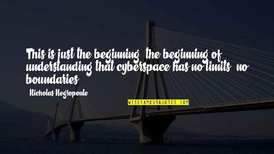 Limits And Boundaries Quotes By Nicholas Negroponte: This is just the beginning, the beginning of