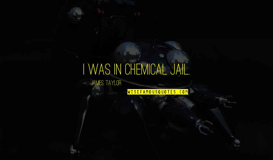 Limits Asymptotes Quotes By James Taylor: I was in chemical jail.