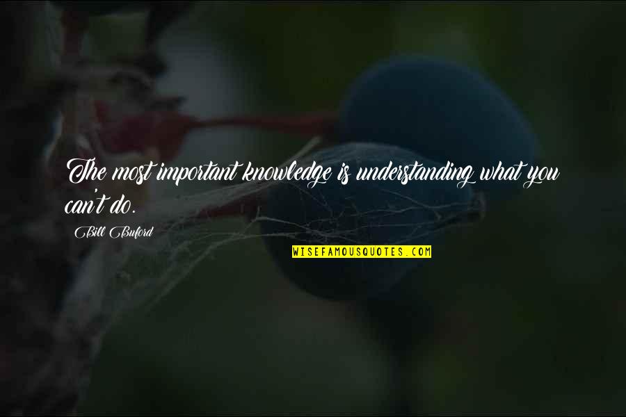 Limits Of Knowledge Quotes By Bill Buford: The most important knowledge is understanding what you