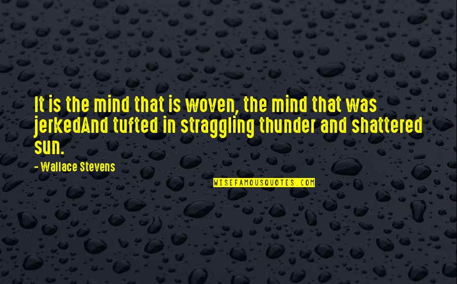 Limmer Auto Quotes By Wallace Stevens: It is the mind that is woven, the