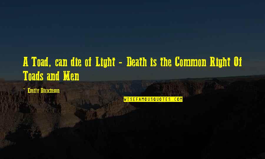 Limmy Falconhoof Quotes By Emily Dickinson: A Toad, can die of Light - Death Limmy Falconhoof Quotes By Emily Dickinson: A Toad, can die of Light - Death