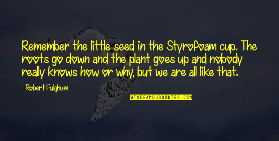 Limousine Service Quotes By Robert Fulghum: Remember the little seed in the Styrofoam cup.