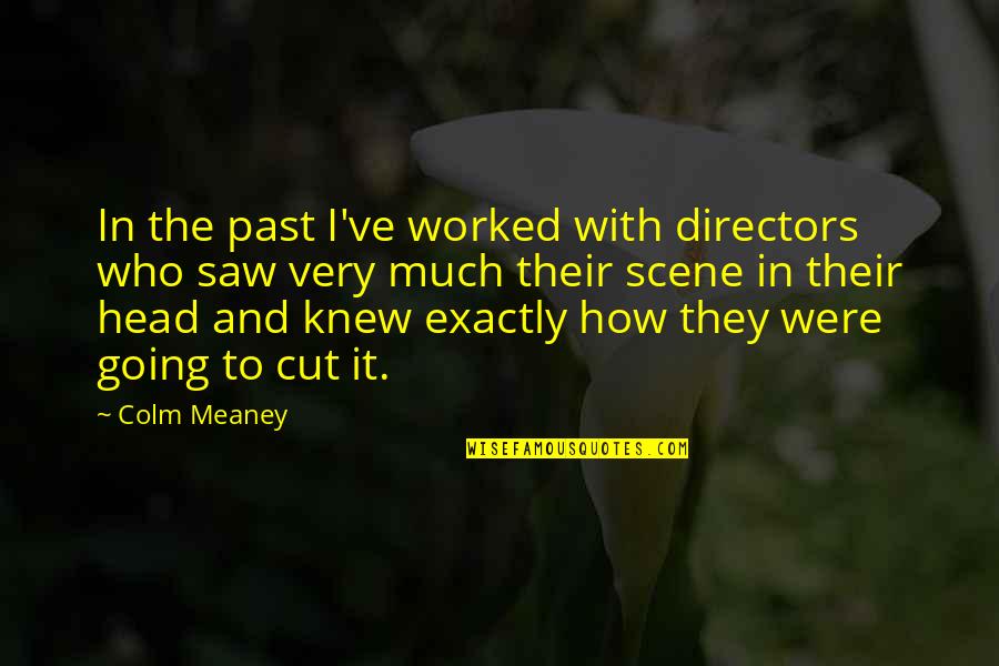 Linchi China Quotes By Colm Meaney: In the past I've worked with directors who Linchi China Quotes By Colm Meaney: In the past I've worked with directors who