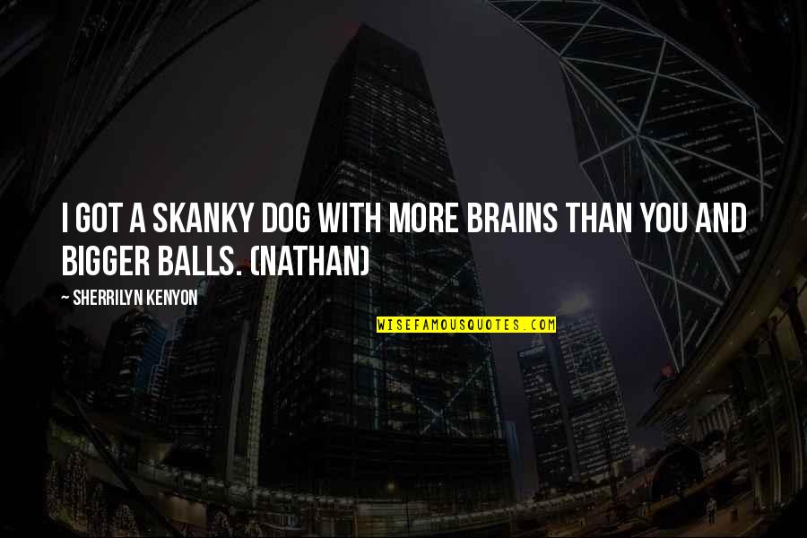 Linchi China Quotes By Sherrilyn Kenyon: I got a skanky dog with more brains Linchi China Quotes By Sherrilyn Kenyon: I got a skanky dog with more brains
