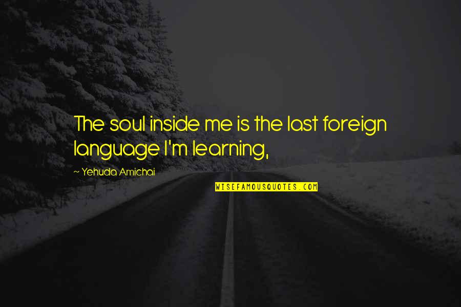 Lincolm Quotes By Yehuda Amichai: The soul inside me is the last foreign
