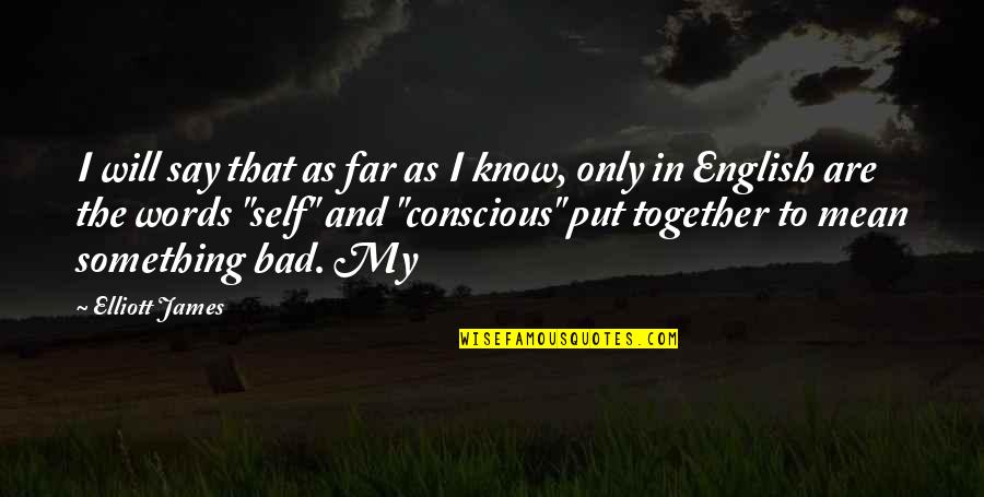 Lincoln Hustle Quote Quotes By Elliott James: I will say that as far as I