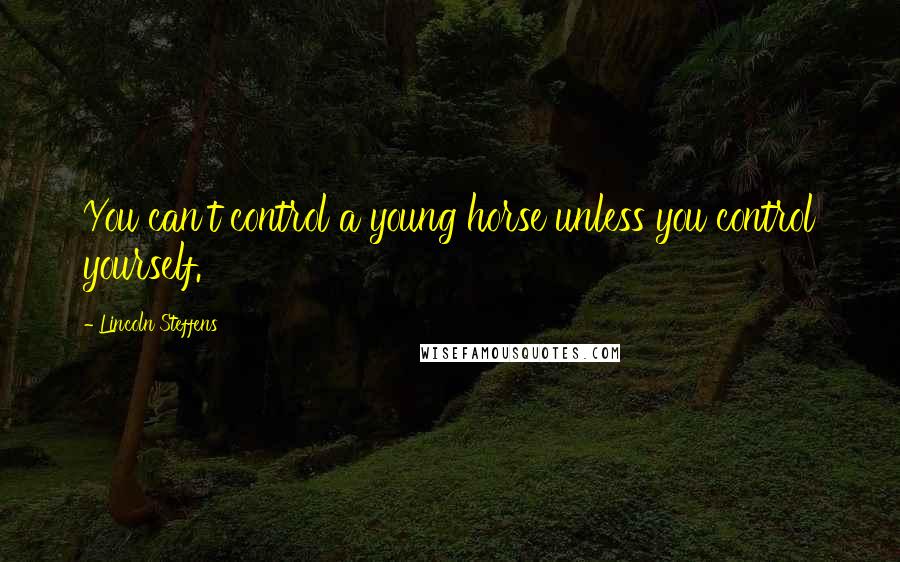 Lincoln Steffens quotes: You can't control a young horse unless you control yourself.