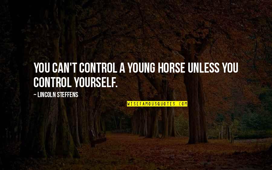 Lincoln Steffens Quotes By Lincoln Steffens: You can't control a young horse unless you