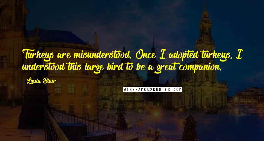 Linda Blair quotes: Turkeys are misunderstood. Once I adopted turkeys, I understood this large bird to be a great companion. Linda Blair quotes: Turkeys are misunderstood. Once I adopted turkeys, I understood this large bird to be a great companion.