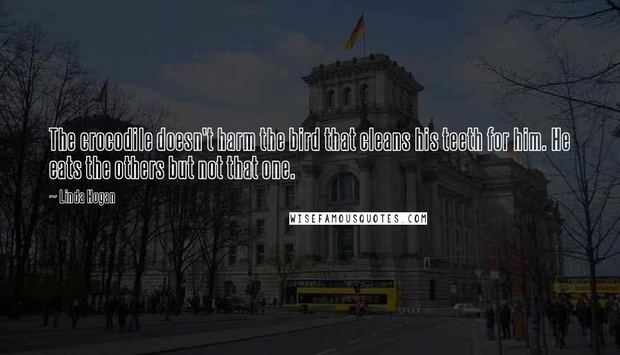 Linda Hogan quotes: The crocodile doesn't harm the bird that cleans his teeth for him. He eats the others but not that one.