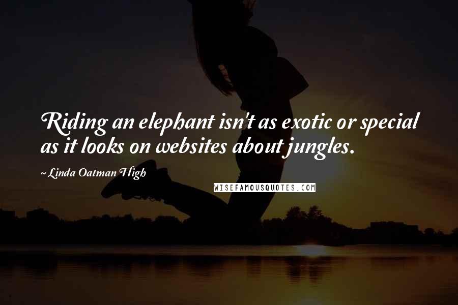 Linda Oatman High quotes: Riding an elephant isn't as exotic or special as it looks on websites about jungles.