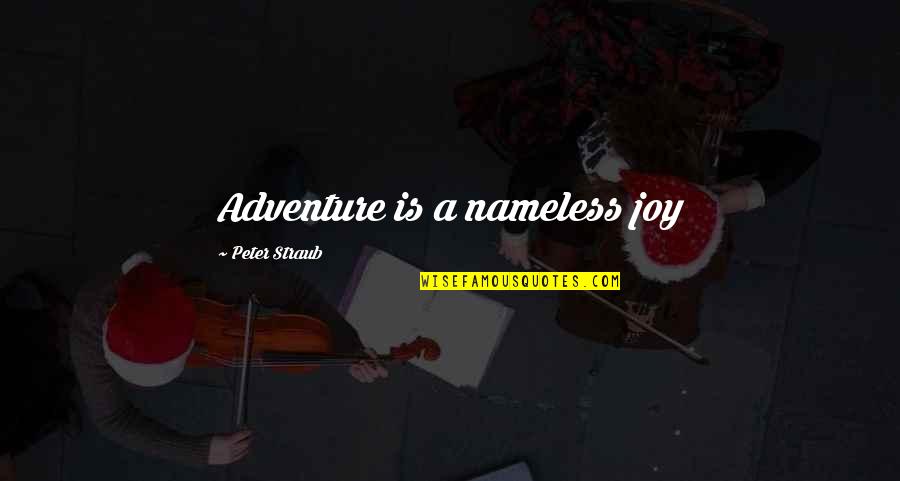Lindau Nobel Quotes By Peter Straub: Adventure is a nameless joy
