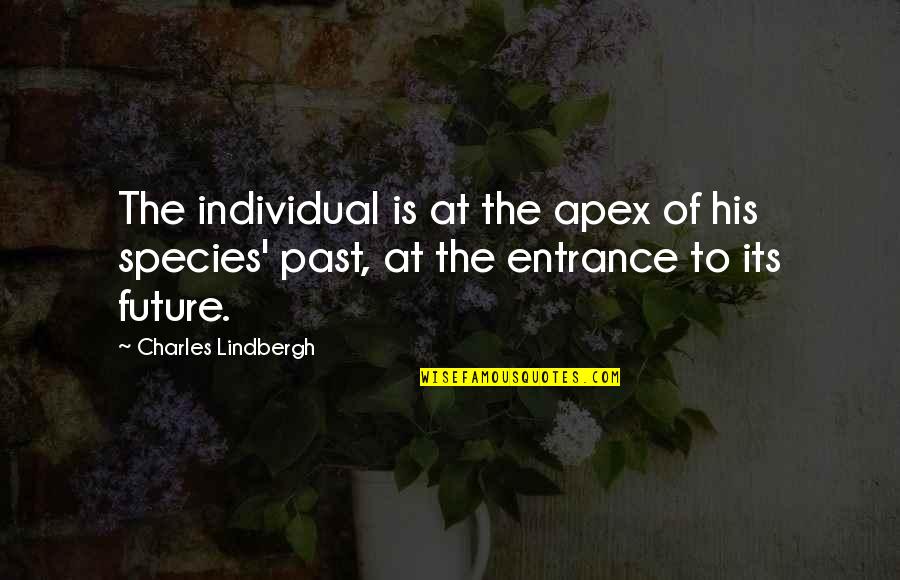 Lindbergh's Quotes By Charles Lindbergh: The individual is at the apex of his