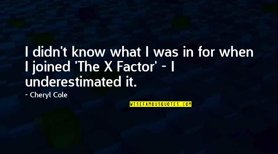 Lindblad Expeditions Quotes By Cheryl Cole: I didn't know what I was in for