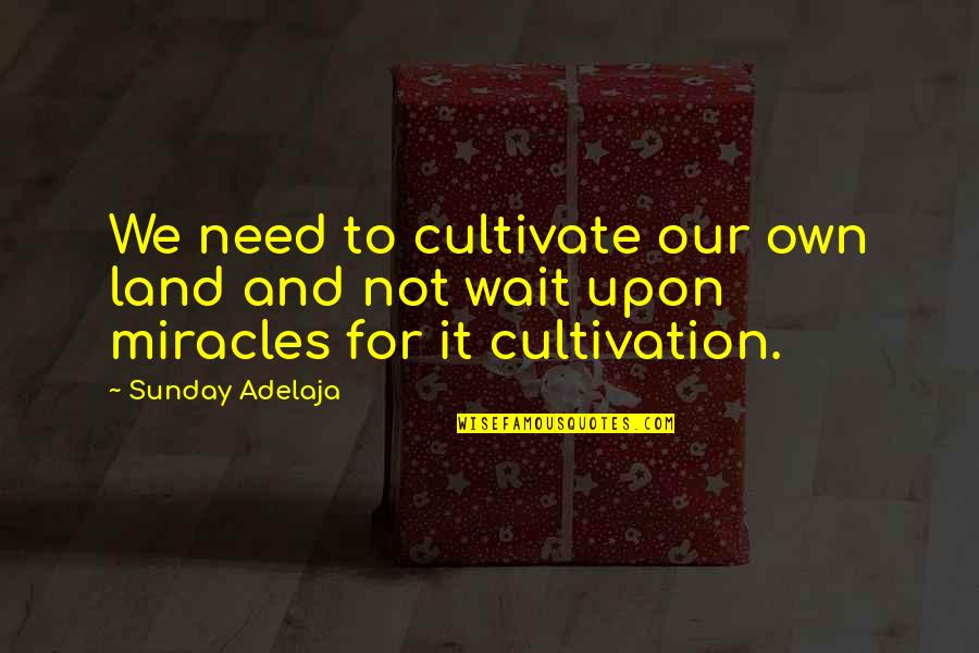 Linderniaceae Quotes By Sunday Adelaja: We need to cultivate our own land and