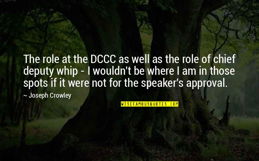 Linderud Coulee Quotes By Joseph Crowley: The role at the DCCC as well as