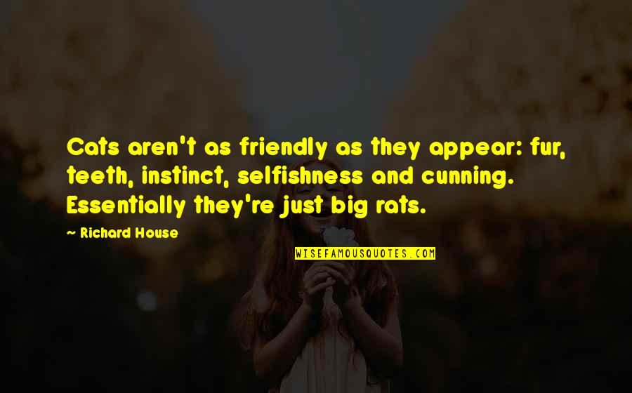 Linderud Kebab Quotes By Richard House: Cats aren't as friendly as they appear: fur, Linderud Kebab Quotes By Richard House: Cats aren't as friendly as they appear: fur,