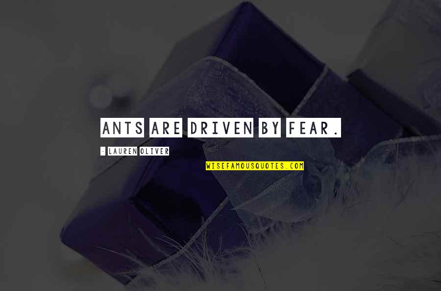 Lindhorst's Quotes By Lauren Oliver: Ants are driven by fear. Lindhorst's Quotes By Lauren Oliver: Ants are driven by fear.