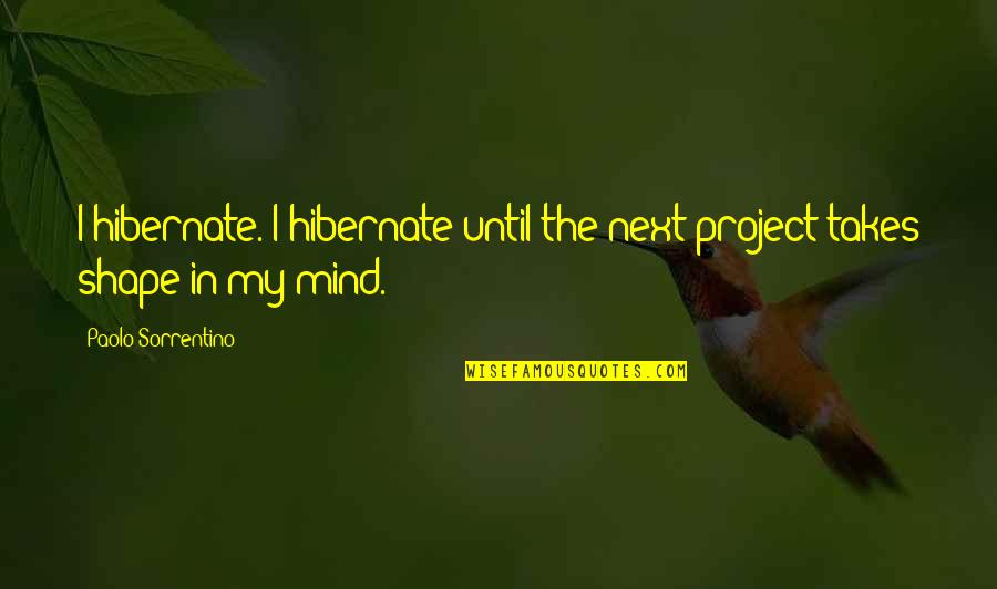 Lindsell Study Quotes By Paolo Sorrentino: I hibernate. I hibernate until the next project Lindsell Study Quotes By Paolo Sorrentino: I hibernate. I hibernate until the next project