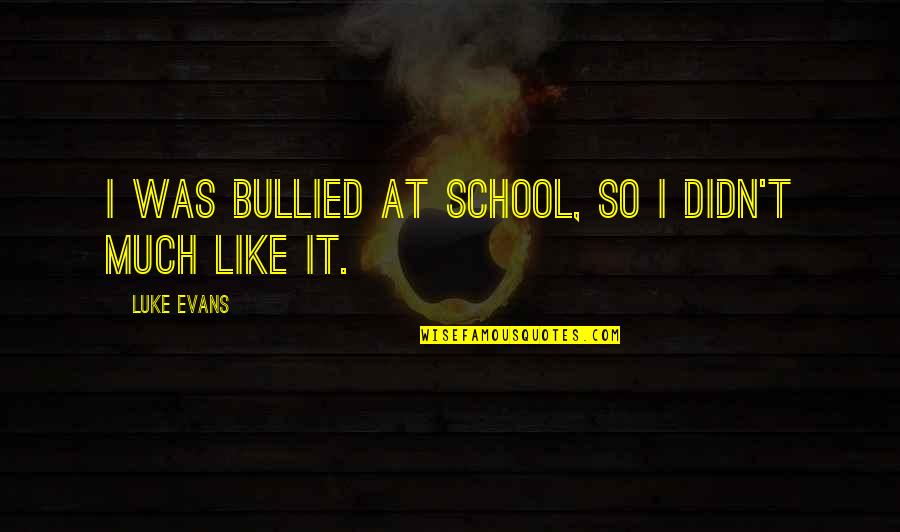 Lindskoog Family Blog Quotes By Luke Evans: I was bullied at school, so I didn't