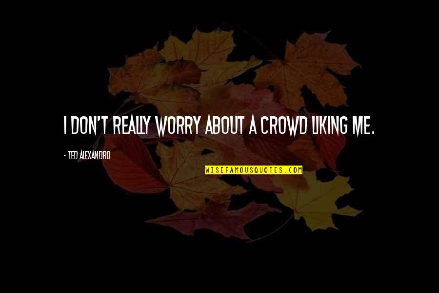 Lindzen And Choi Quotes By Ted Alexandro: I don't really worry about a crowd liking