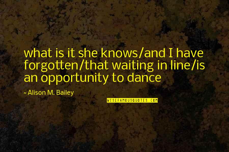 Line Dance Quotes By Alison M. Bailey: what is it she knows/and I have forgotten/that