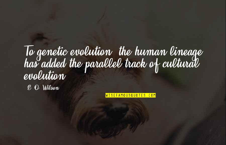 Lineage 2 Quotes By E. O. Wilson: To genetic evolution, the human lineage has added