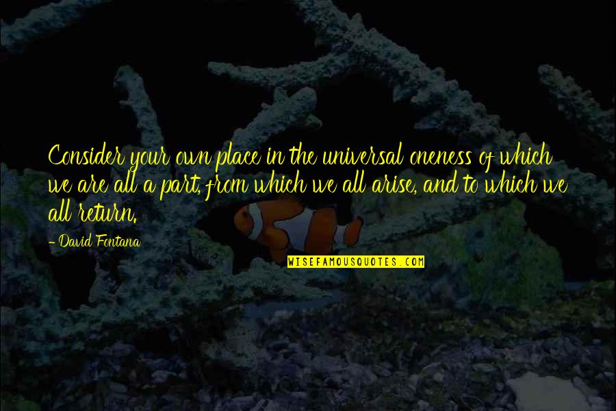 Linebarger Attorneys Quotes By David Fontana: Consider your own place in the universal oneness