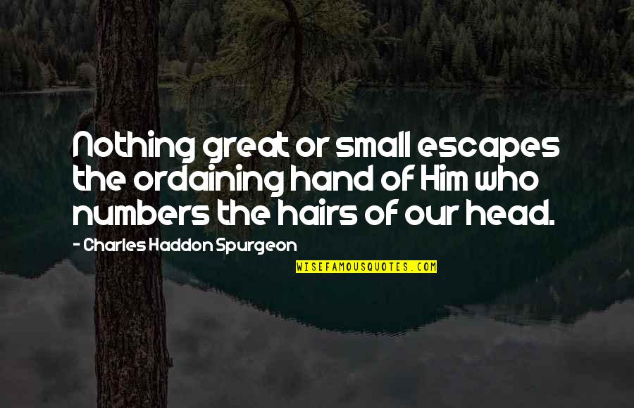 Lineberger Farm Quotes By Charles Haddon Spurgeon: Nothing great or small escapes the ordaining hand Lineberger Farm Quotes By Charles Haddon Spurgeon: Nothing great or small escapes the ordaining hand