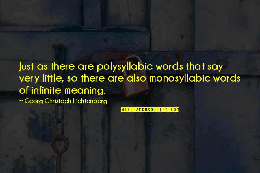 Linerextreme Quotes By Georg Christoph Lichtenberg: Just as there are polysyllabic words that say