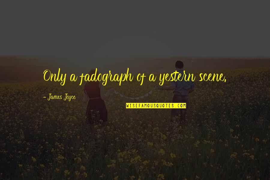 Lingam Quotes By James Joyce: Only a fadograph of a yestern scene.