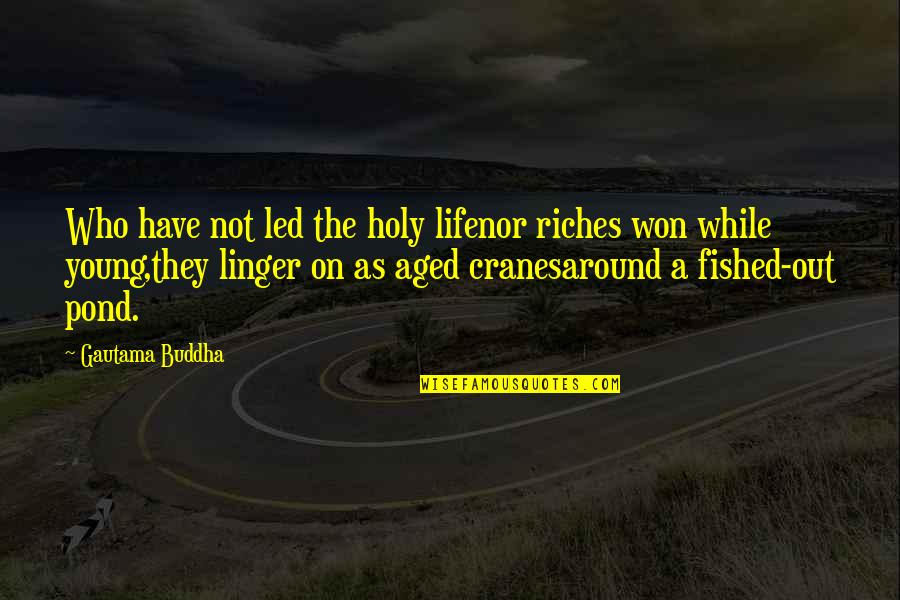 Linger Quotes By Gautama Buddha: Who have not led the holy lifenor riches