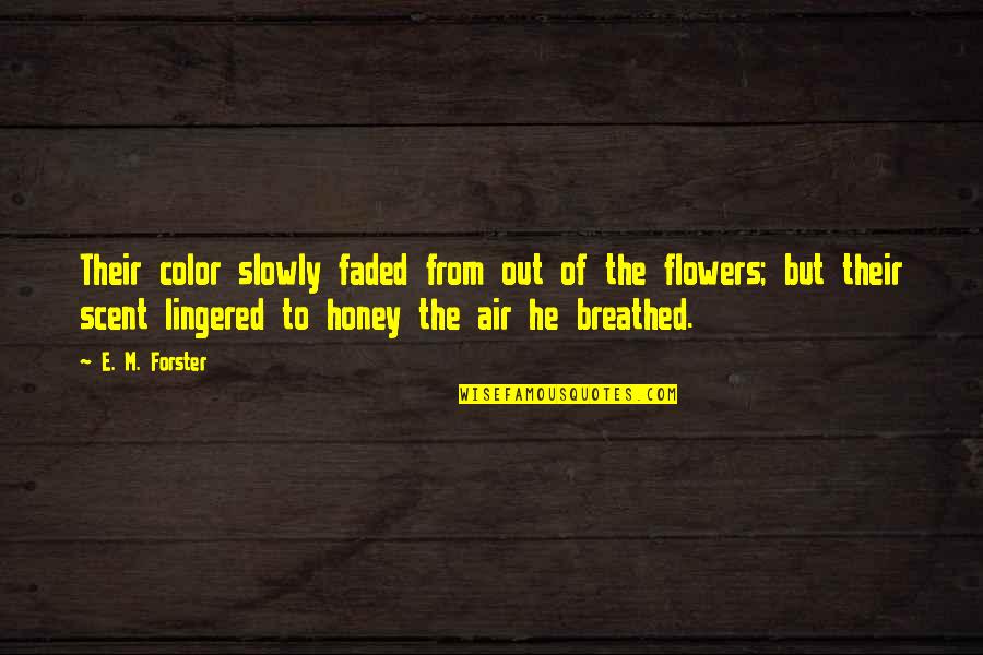 Lingered Quotes By E. M. Forster: Their color slowly faded from out of the Lingered Quotes By E. M. Forster: Their color slowly faded from out of the
