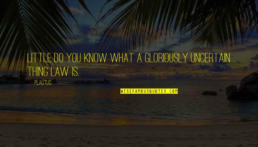 Lingula Mandible Quotes By Plautus: Little do you know what a gloriously uncertain