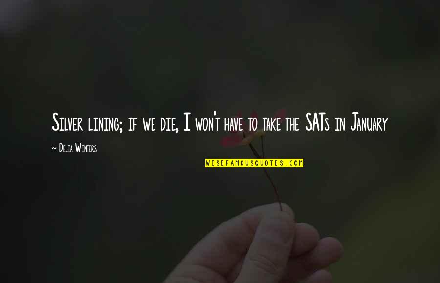 Lining Quotes By Delia Winters: Silver lining; if we die, I won't have