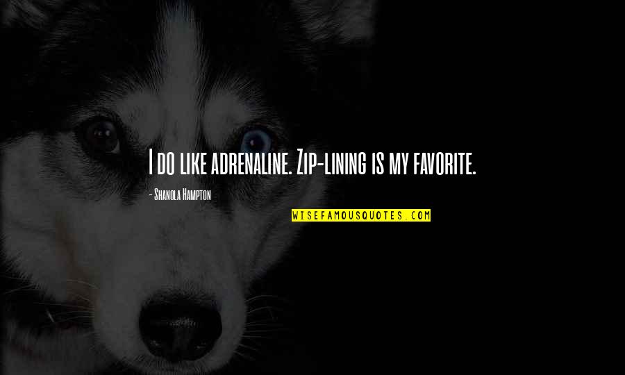 Lining Quotes By Shanola Hampton: I do like adrenaline. Zip-lining is my favorite.