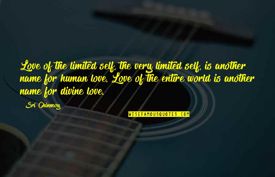 Linisher Quotes By Sri Chinmoy: Love of the limited self, the very limited Linisher Quotes By Sri Chinmoy: Love of the limited self, the very limited