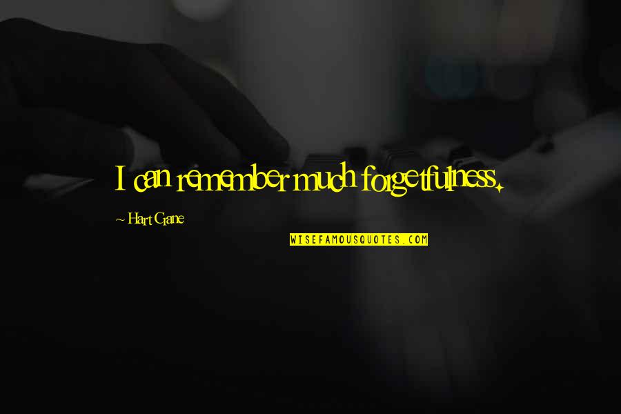 Linkedin Quotes Quotes By Hart Crane: I can remember much forgetfulness.
