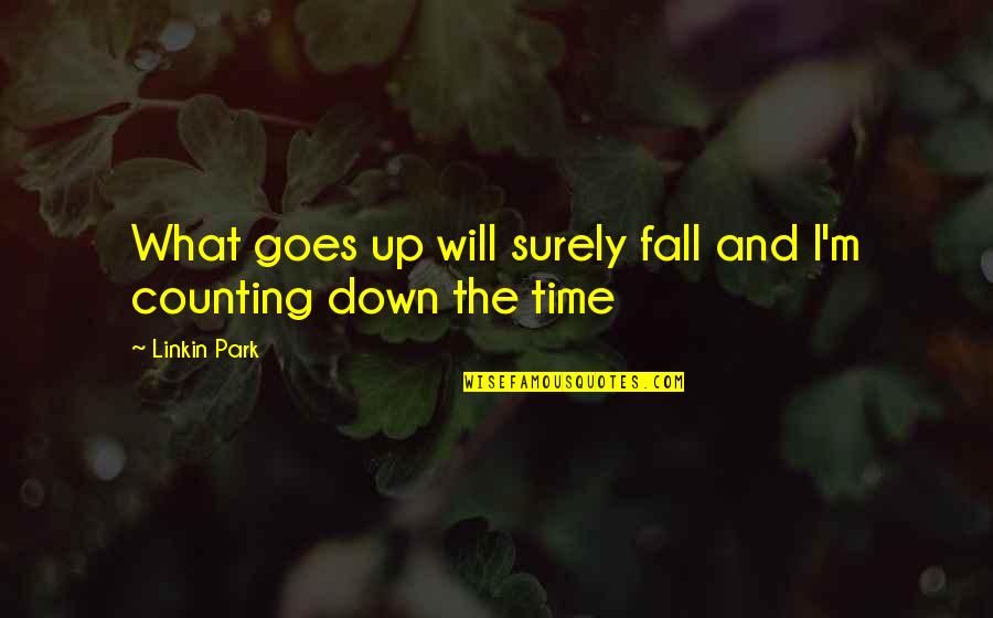 Linkin Quotes By Linkin Park: What goes up will surely fall and I'm