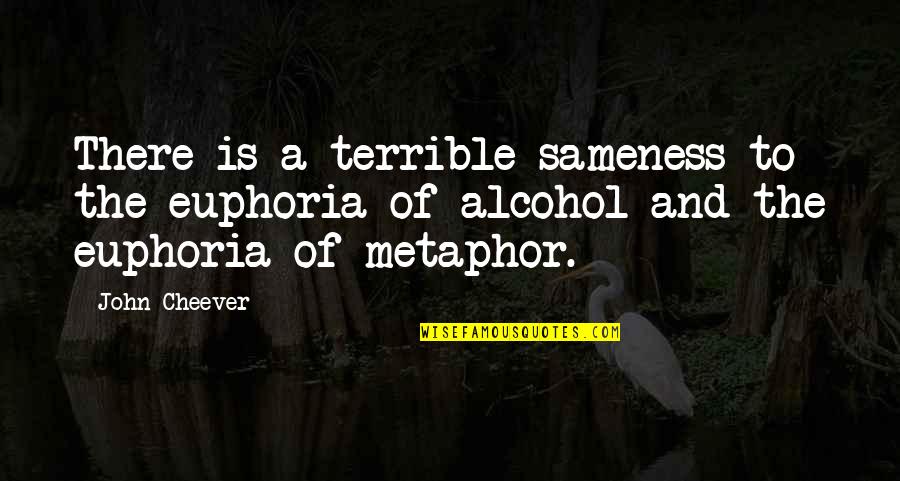 Linmarie Creations Quotes By John Cheever: There is a terrible sameness to the euphoria