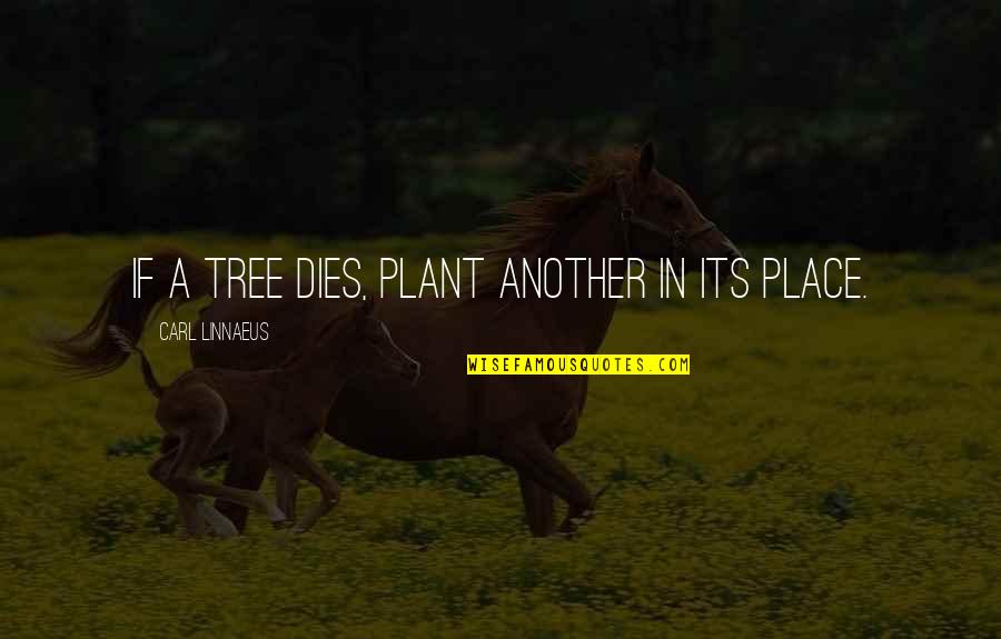 Linnaeus's Quotes By Carl Linnaeus: If a tree dies, plant another in its