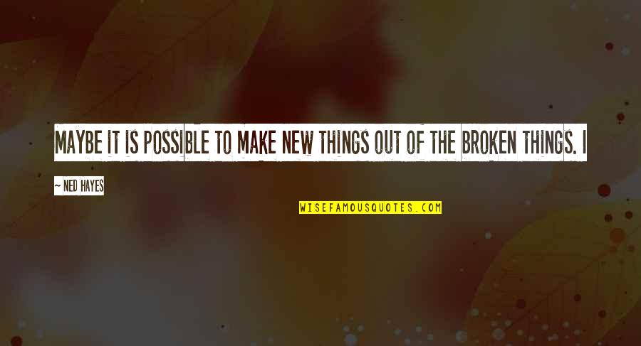 Linnanm Ki Quotes By Ned Hayes: Maybe it is possible to make new things