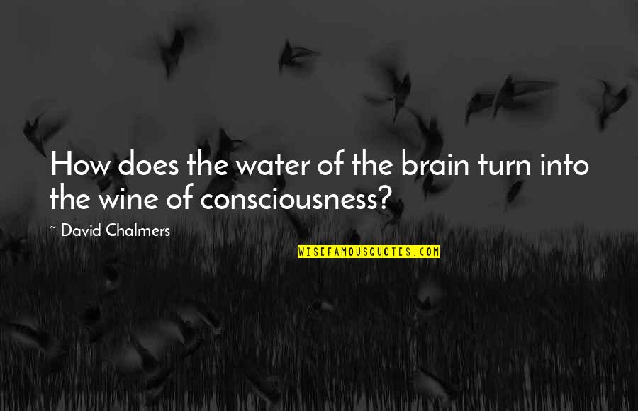 Linnen Quotes By David Chalmers: How does the water of the brain turn