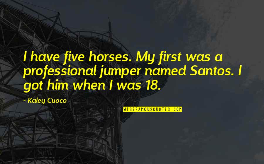 Linsley Royal Quotes By Kaley Cuoco: I have five horses. My first was a