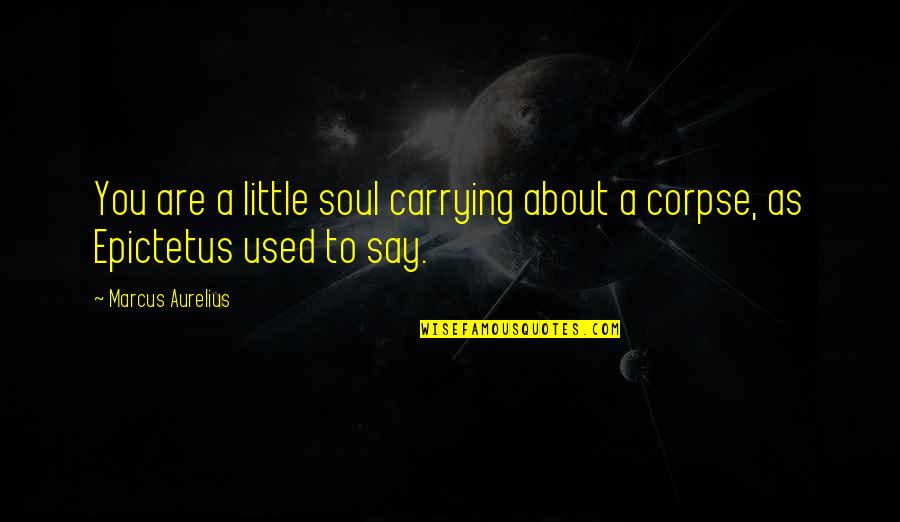 Linzalar Quotes By Marcus Aurelius: You are a little soul carrying about a