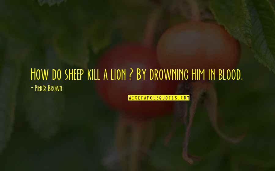 Lion And Sheep Quotes By Pierce Brown: How do sheep kill a lion ? By