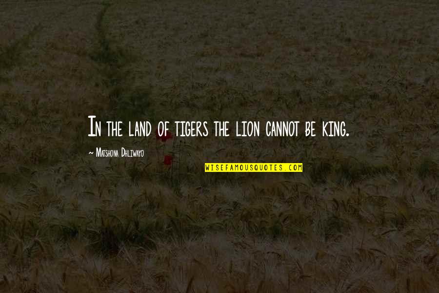 Lion In Quotes By Matshona Dhliwayo: In the land of tigers the lion cannot Lion In Quotes By Matshona Dhliwayo: In the land of tigers the lion cannot
