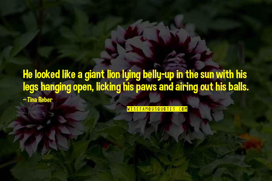 Lion In Quotes By Tina Reber: He looked like a giant lion lying belly-up Lion In Quotes By Tina Reber: He looked like a giant lion lying belly-up