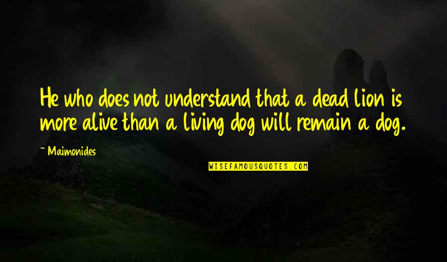 Lion Is Lion Quotes By Maimonides: He who does not understand that a dead Lion Is Lion Quotes By Maimonides: He who does not understand that a dead